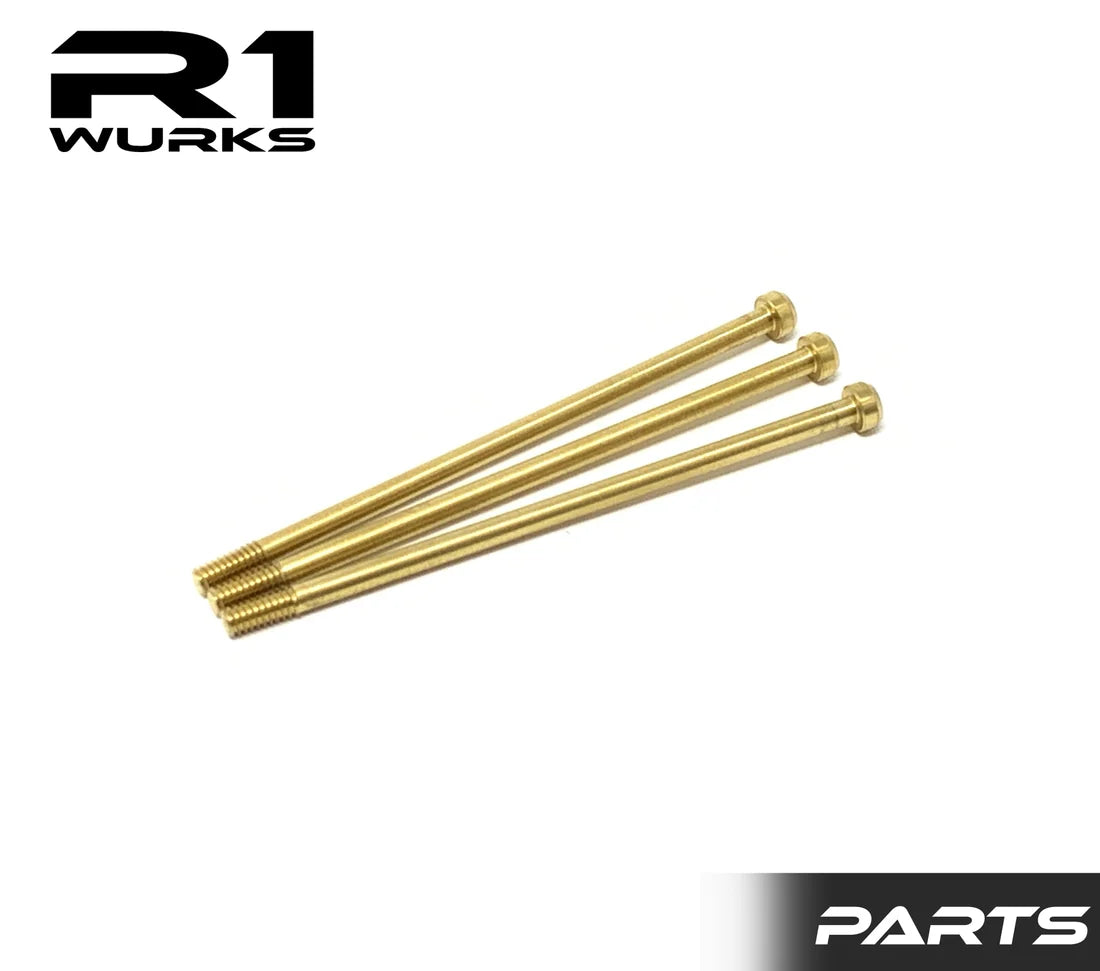 R1WURKS 020049 V21 Titanium Can Screws