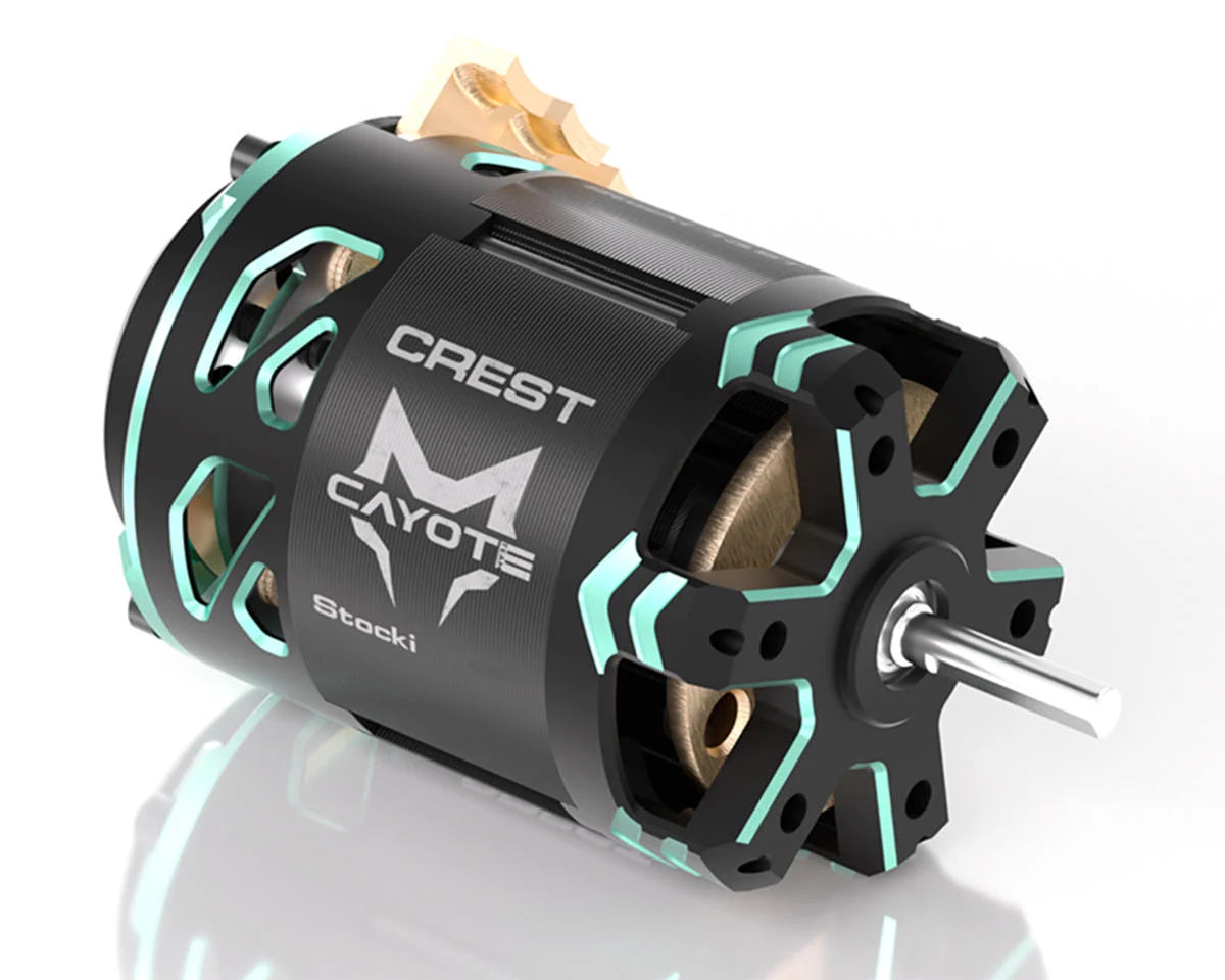 TEAM CAYOTE CYEB11012 Crest Stocki 1/10 Brushless Competition Sensored Motor (17.5T)