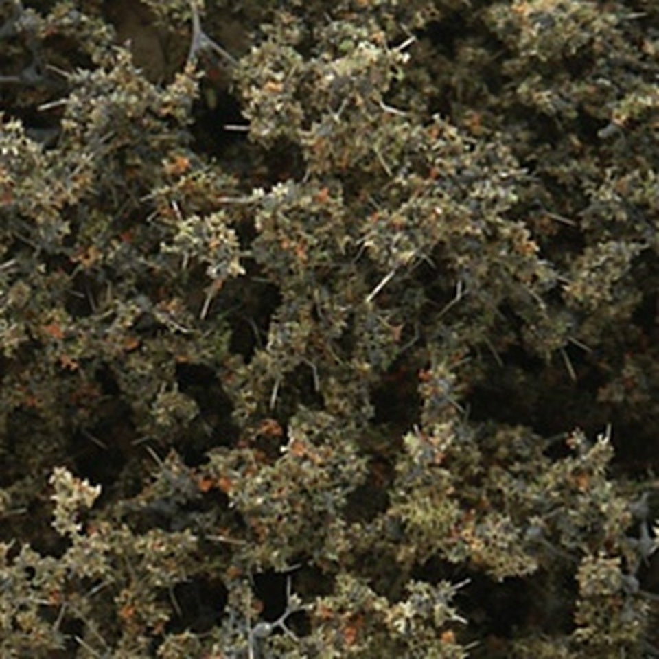 WOODLAND SCENICS F1134 Fine Leaf Foliage, Dead