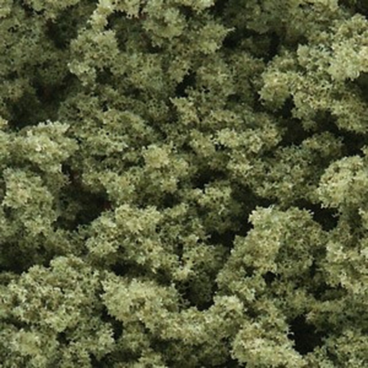 WOODLAND SCENICS FC134 Underbrush, Olive