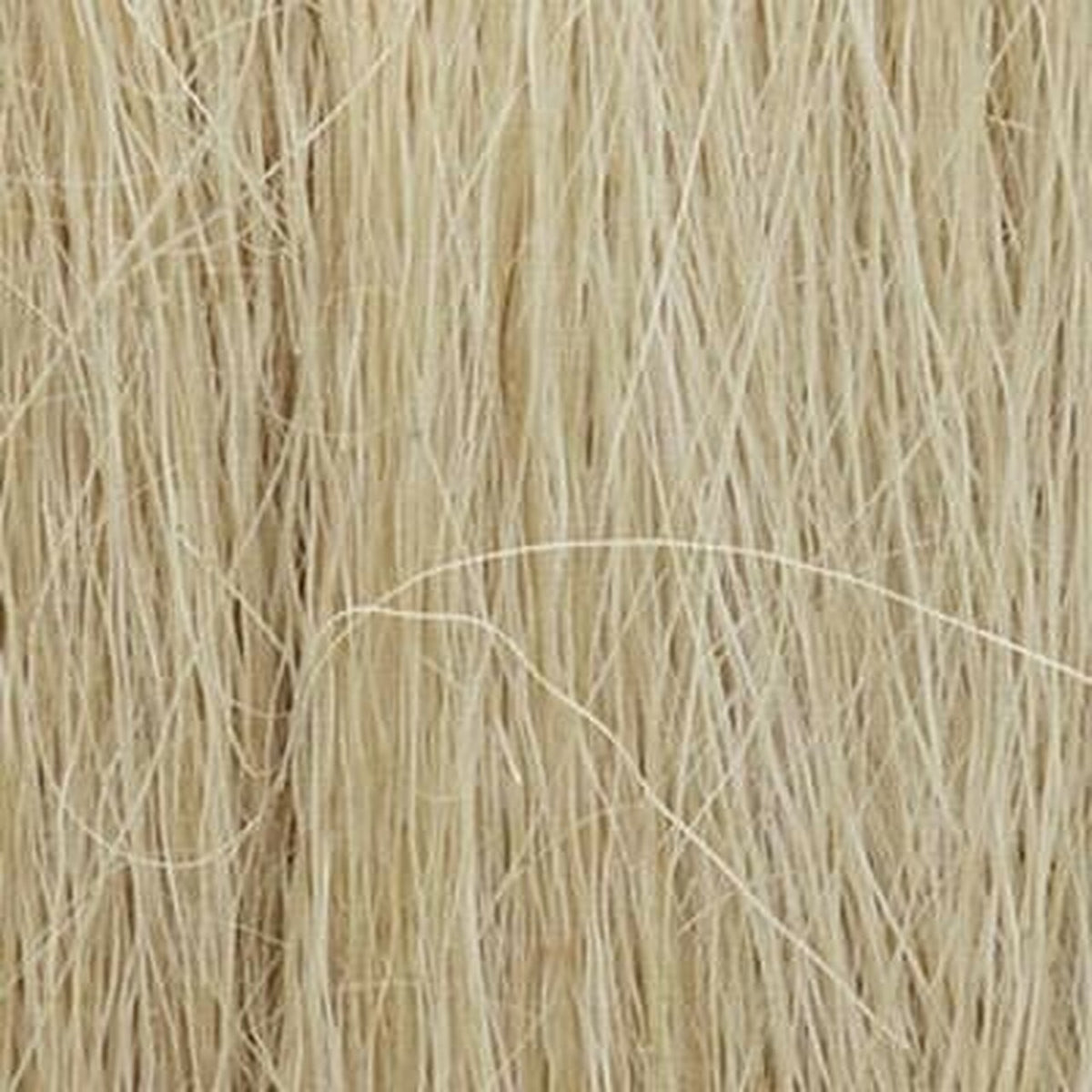 WOODLAND SCENICS FG171 Field Grass, Natural Straw