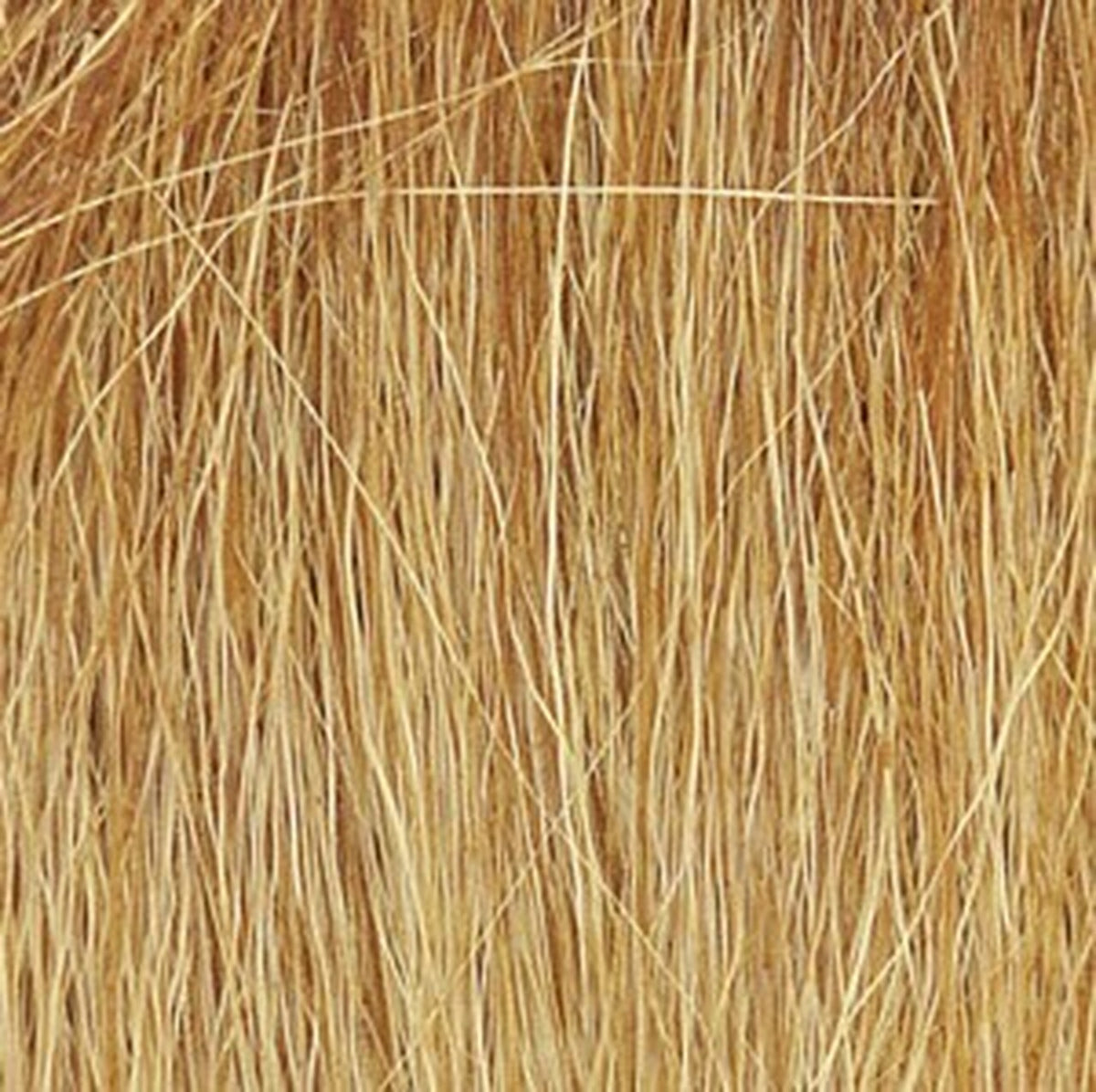WOODLAND SCENICS FG172 Field Grass, Harvest Gold
