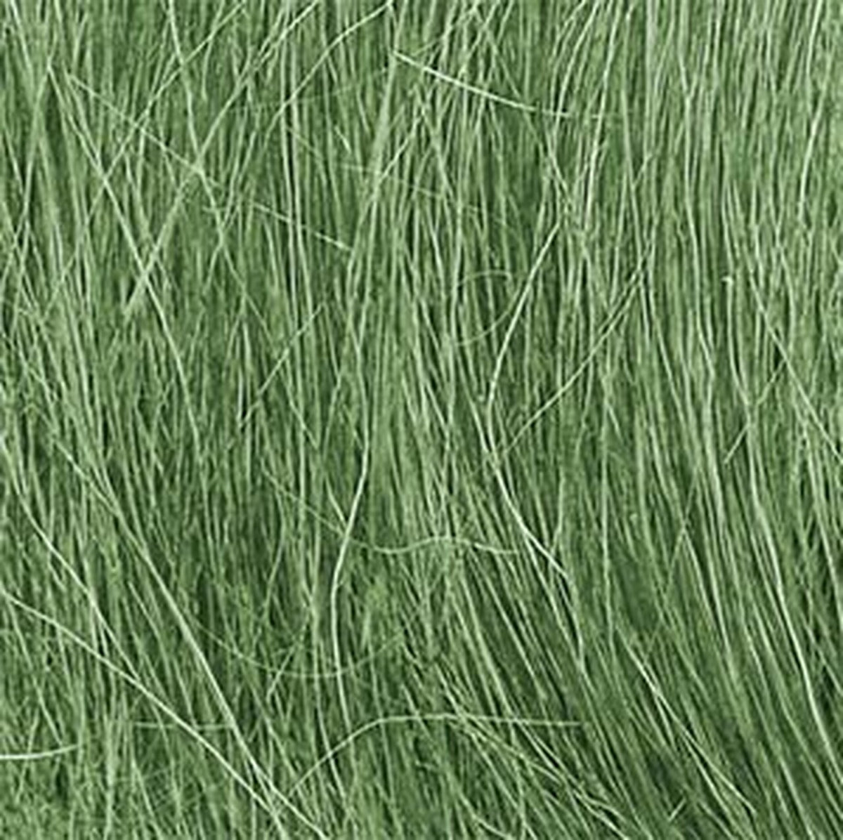 WOODLAND SCENICS FG174 Field Grass, Medium Green